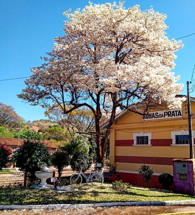 aguas_da_prata_monumentos_03-1-1.jpeg