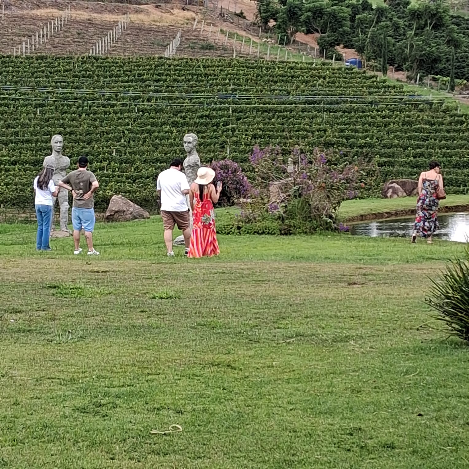 vinho_experiencia_vinhedo_02-1-1.jpeg