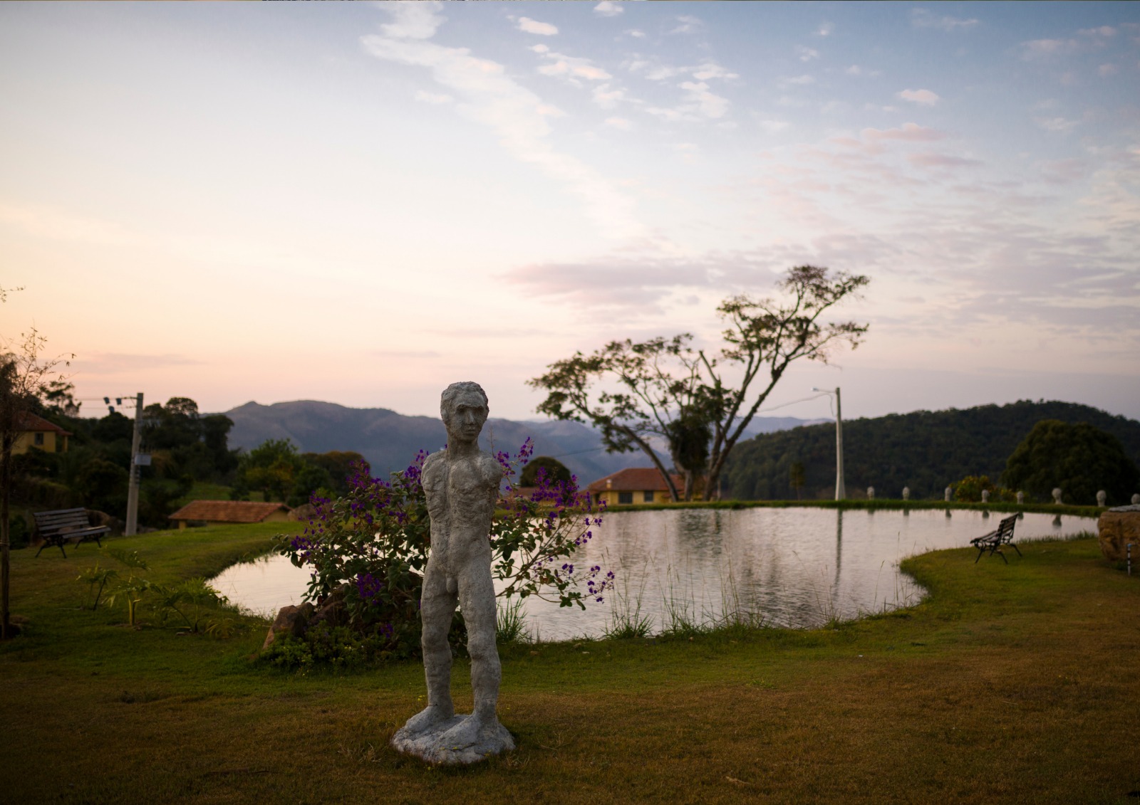 vinho_paisagem_vinicola_entardecer_01-1-1.jpeg